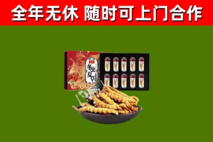 谷城县回收冬虫夏草价格